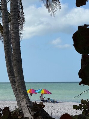 Beach - Luxurious 2024 5-BR House-- Heated Pool and Outdoor Kitchen, just minutes from beaches and downtown (Naples)