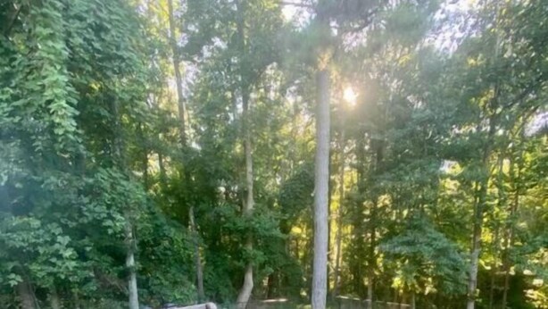 A wooden deck with wicker furniture and a table, surrounded by trees.