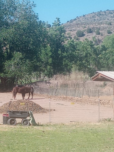 oasis in the wilderness