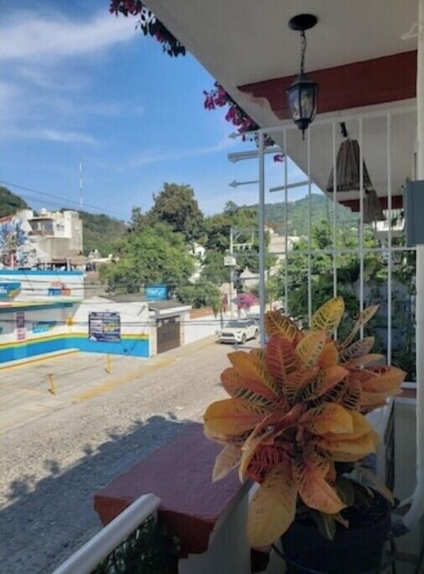 Property grounds - Enjoy the best area in Puerto Vallarta (Puerto Vallarta)