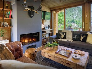 TV, caminetto, impianto stereo