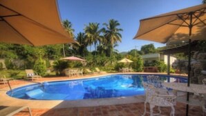 Une piscine entourée de verdure, avec des chaises longues et des parasols.