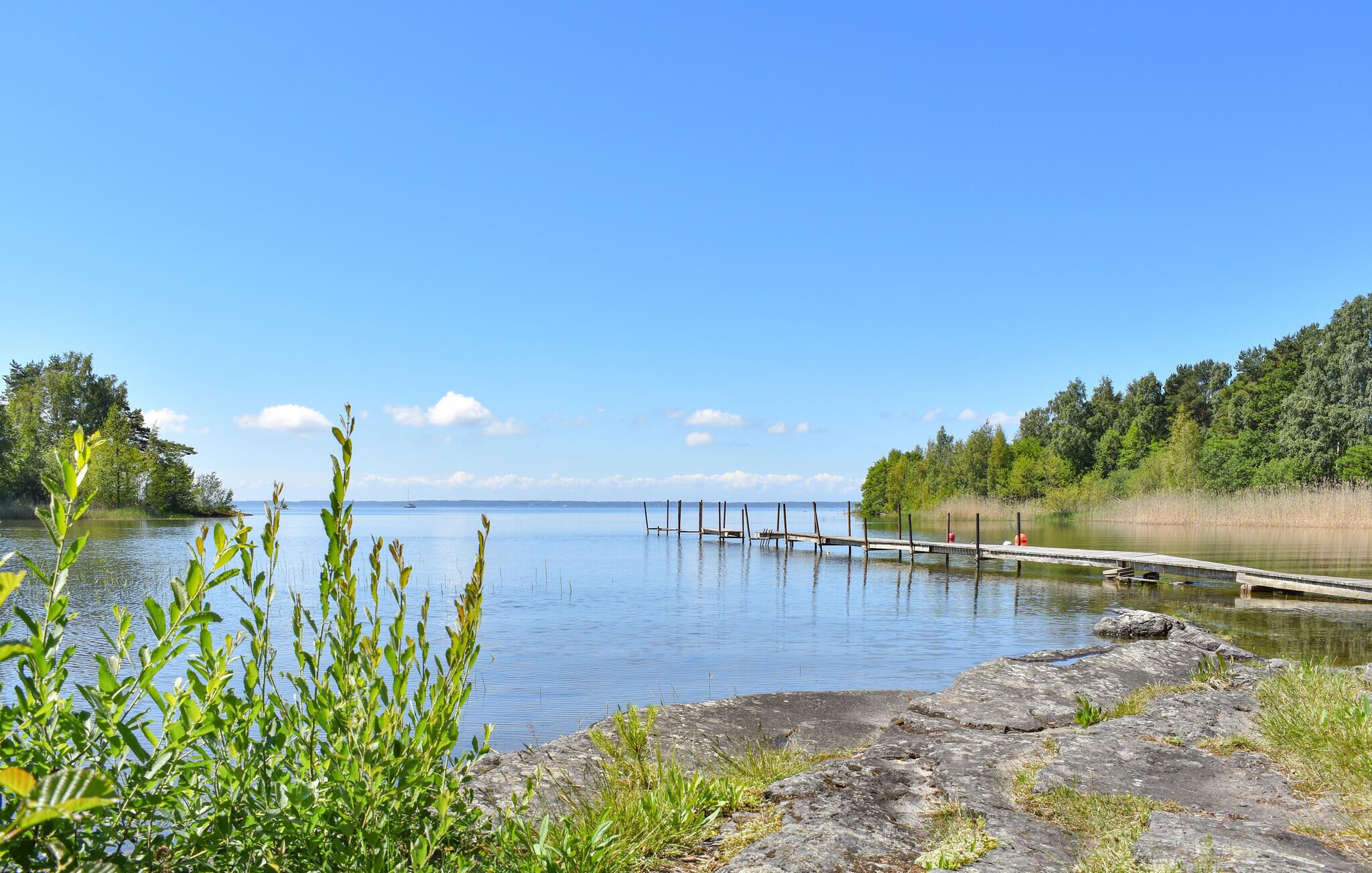 A calm lake with a wooden dock extending into the water, surrounded by lush greenery and trees.
