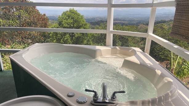 Un bain à remous avec vue sur les montagnes et la verdure.