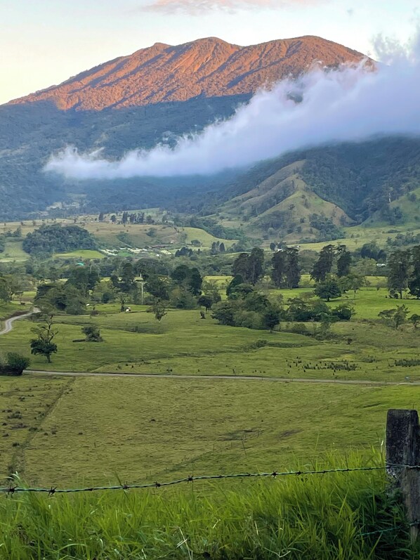 A rural landscape with rolling hills, a mountain in the background, and a barbed wire fence in the foreground.