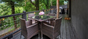 Newly renovated cottage, 5 min walk to town, dogs OK, fire pit, hot tub, wi-fi