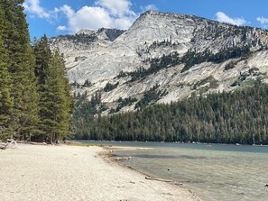 Beach - Yosemite Dreamin'.
Private & charming retreat.
Close to the park, shops & hikes (Oakhurst)