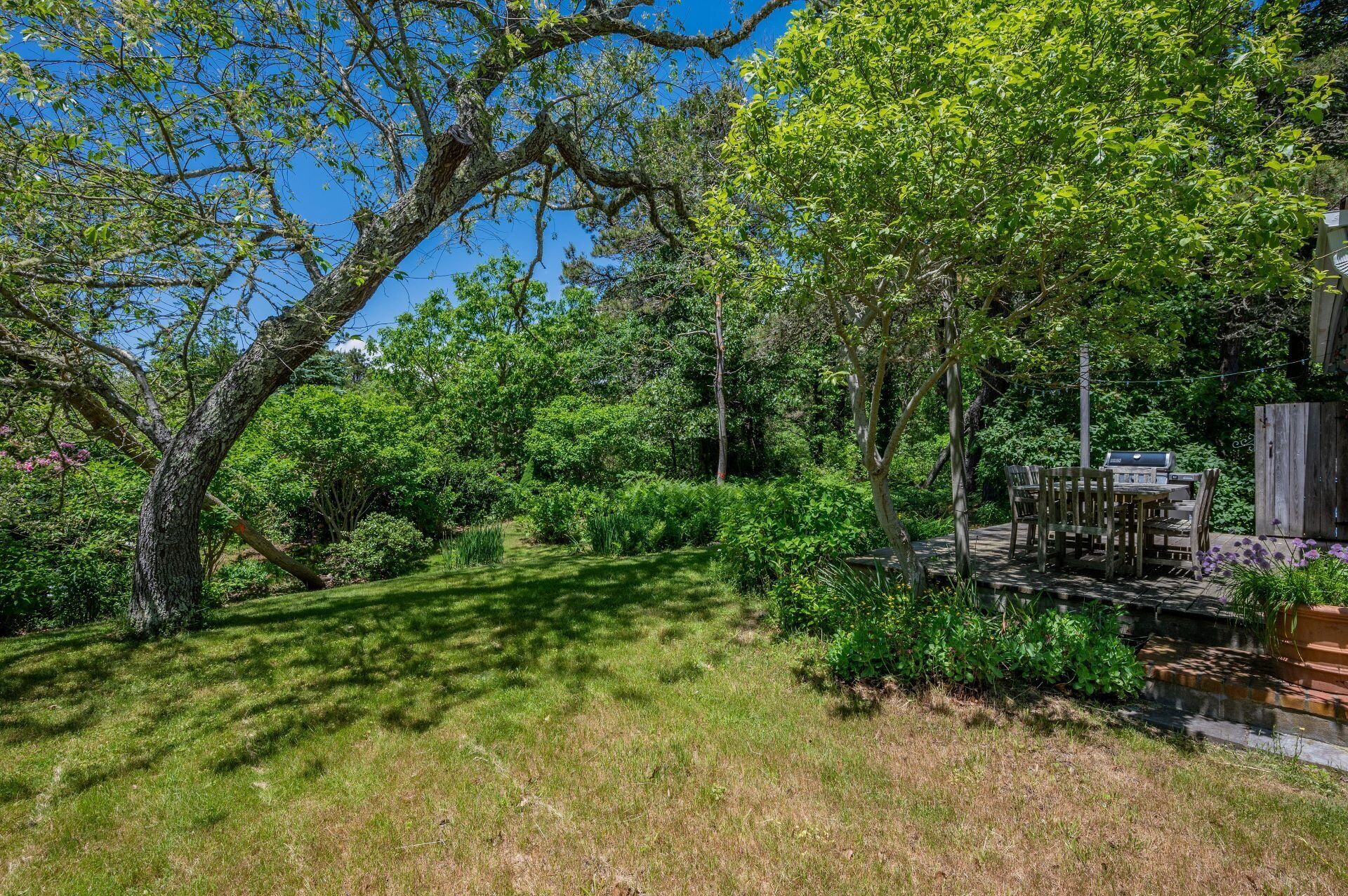 A lush garden with a wooden deck and a barbecue grill.