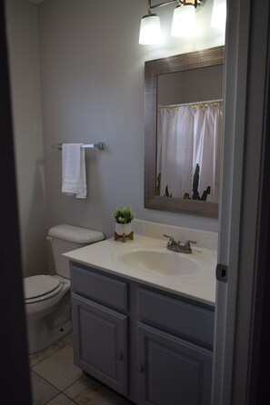 Hair dryer, towels, soap, shampoo - Charming 4-bedroom house in welcoming Greenville with WiFi, AC (Greenville)