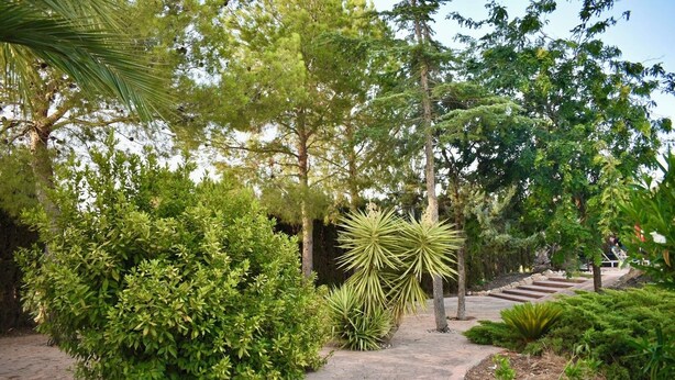 Un jardín con diversas plantas y árboles, un camino empedrado y una zona de estar con gente.