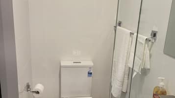 Regadera, toallas, jabón, shampoo