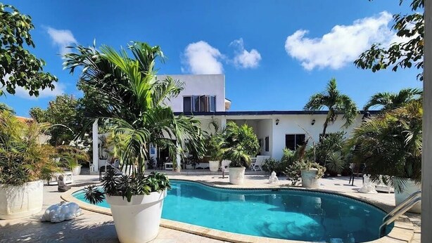 A pool area with a modern house in the background, surrounded by potted plants and a clear blue sky.