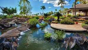 A koi pond with rocks and tropical plants, surrounded by a landscaped garden with palm trees and a building in the background. - Fall Specials & Sales now-OT305-Beautiful 3 bed, 2.5 bath (Kapolei)