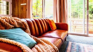 TV connectée, cheminée, jeux vidéo, lecteur de DVD