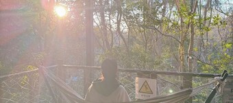 Minami Hakone area Capacity up to 10 people Family - Sound Villa / Tagata‐gun Shizuoka