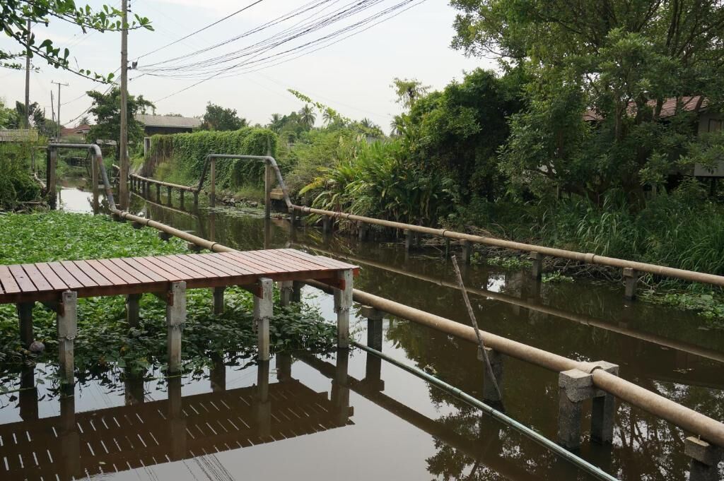 Un puente de madera sobre aguas tranquilas, rodeado de abundante vegetación y árboles.