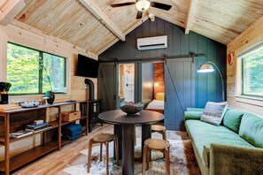 Smart TV, chimenea, libros