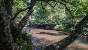 Un paysage naturel avec une rivière, une végétation luxuriante et une branche d’arbre au premier plan.