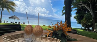 Luxury All Inclusive Beachfront Bure