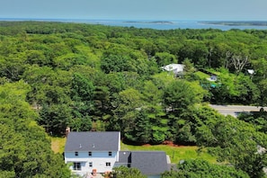 Een woonwijk met een huis, omgeven door weelderige begroeiing en uitzicht op de oceaan.