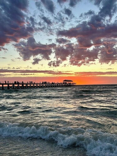 Bee’s Knees Studio: 5min-CBD/Airport/Henley Beach