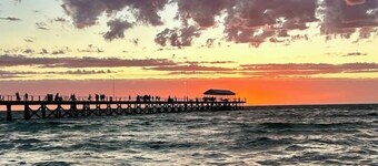 Bee’s Knees Studio: 5min-CBD/Airport/Henley Beach