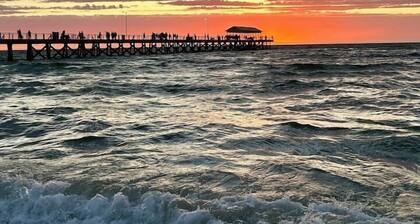 Bee’s Knees Studio: 5min-CBD/Airport/Henley Beach