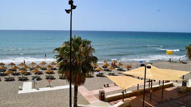 A beach with umbrellas, lounge chairs, and a palm tree. - Ref: 326 Beach front apartment on the promenade with beautiful sea view (Fuengirola)