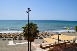 A beach with umbrellas, lounge chairs, and a palm tree.