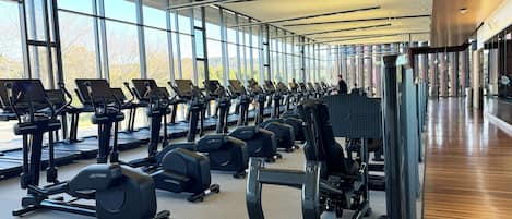 A gym with rows of treadmills and weight machines, large windows, and a wooden floor.