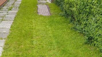 A well-maintained lawn with a brick pathway leading to a building.