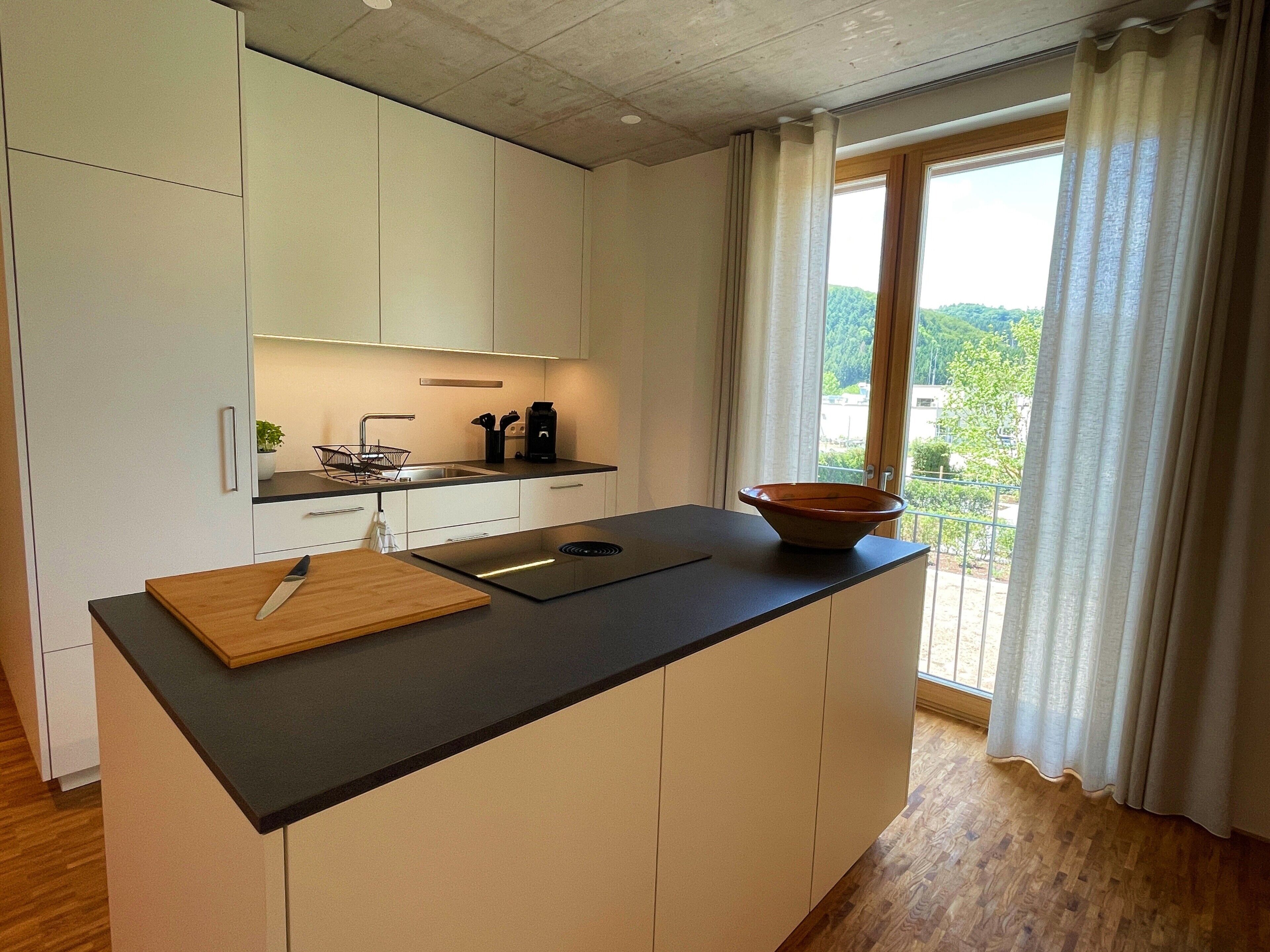 Kühlschrank, Ofen, Herdplatte, Geschirrspüler