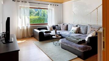 Fernseher