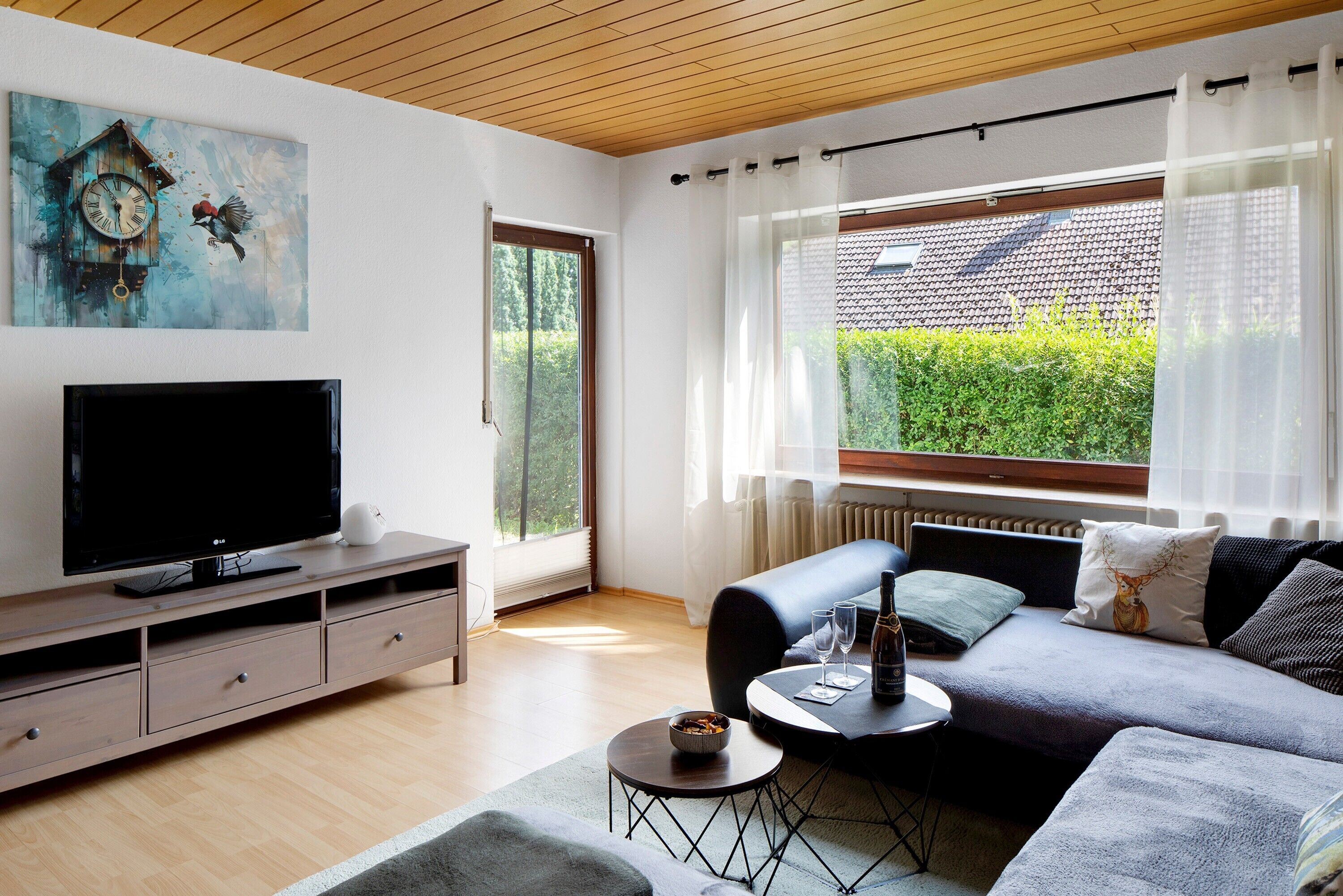 Fernseher