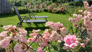 Un jardín con flores rosadas, una cerca de madera y una mesa con sillas.