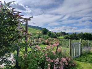 Un paysage rural avec une barrière en bois, une végétation luxuriante et un ciel dégagé.