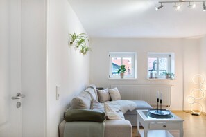 TV, video game console, DVD player, stereo - Apartment 'Alsfelder Wein-Suite' with Wi-Fi (Alsfeld)