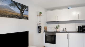 Fridge, oven, stovetop, coffee/tea maker