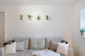 TV, video game console, DVD player, stereo - Apartment 'Alsfelder Wein-Suite' with Wi-Fi (Alsfeld)