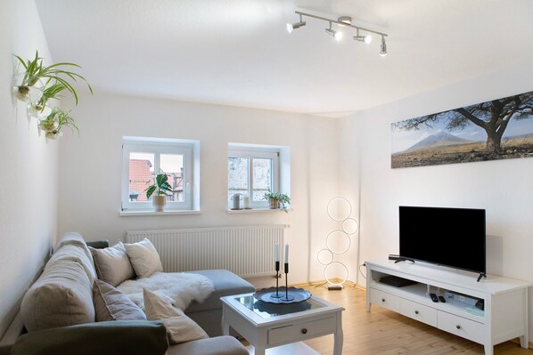 TV, video game console, DVD player, stereo - Apartment 'Alsfelder Wein-Suite' with Wi-Fi (Alsfeld)