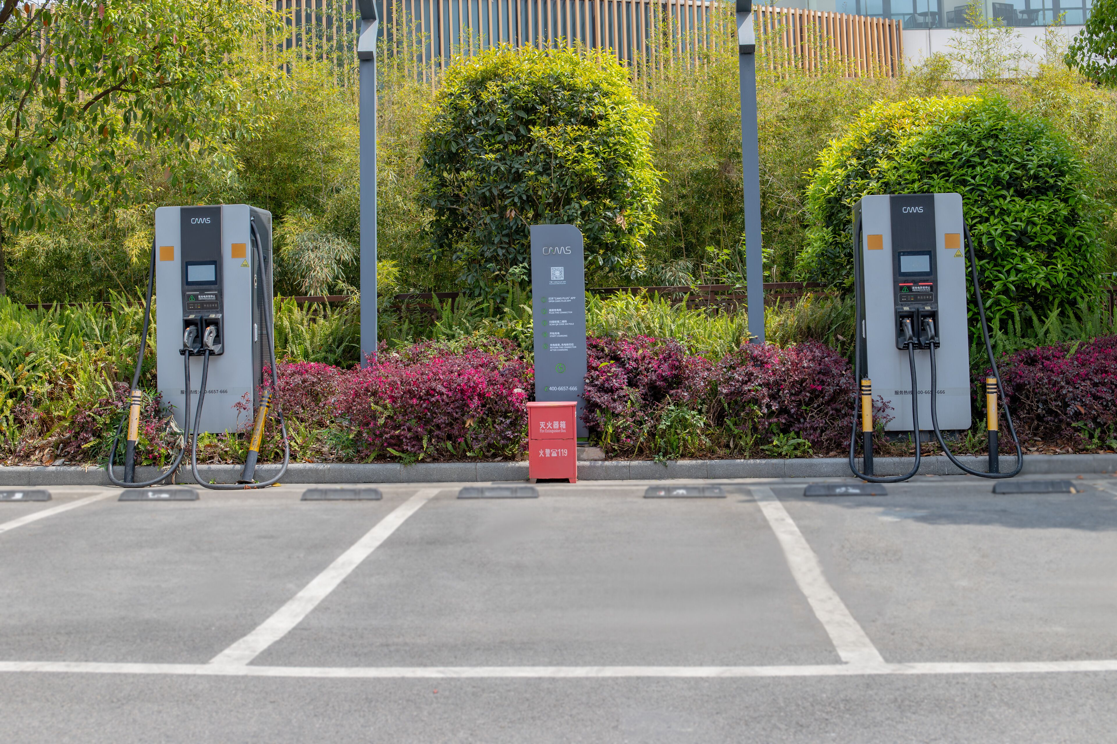 Fileira de postos de carregamento para veículos elétricos num parque de estacionamento, com vegetação e um edifício moderno ao fundo.