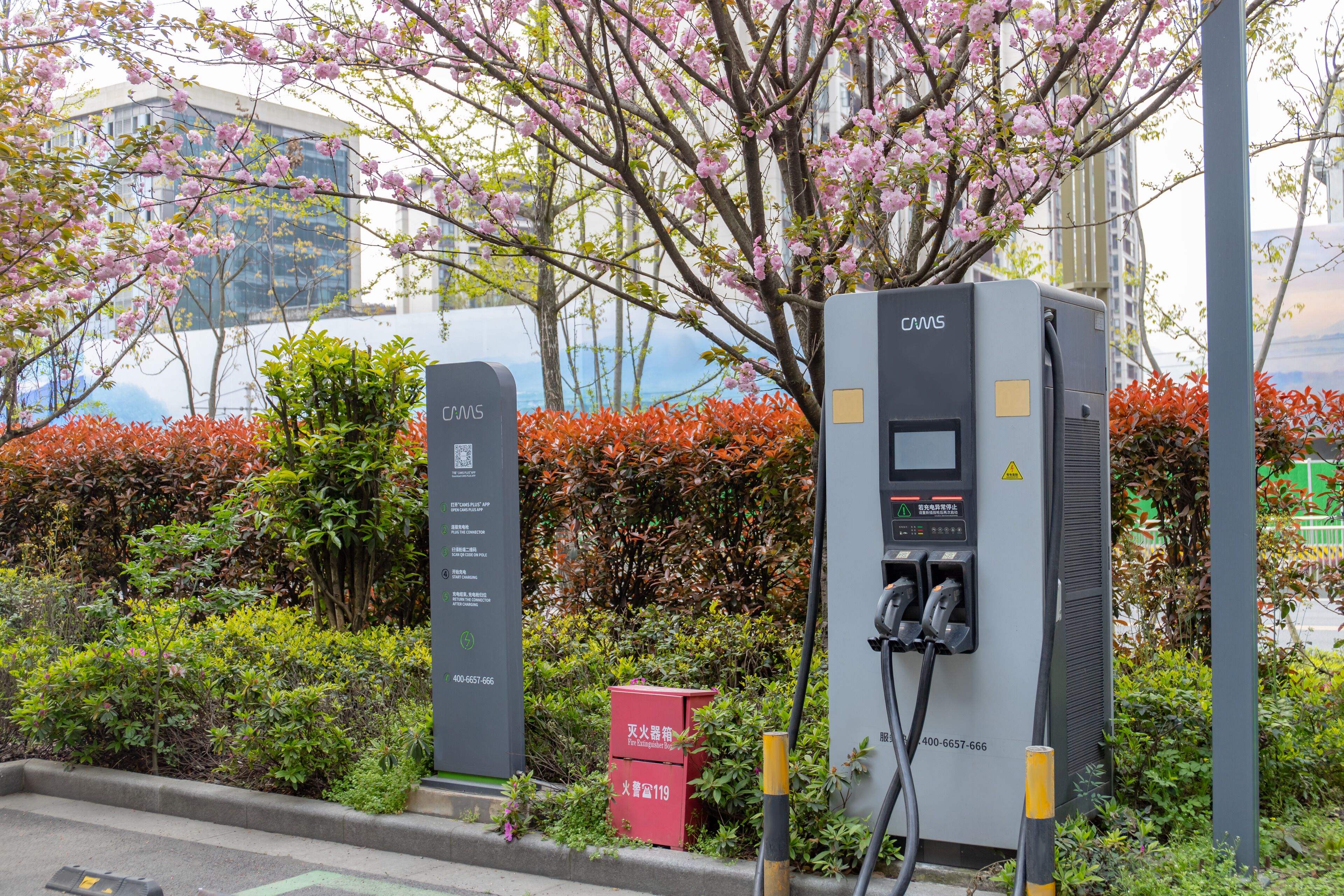 Ladestationen für Elektrofahrzeuge mit blühenden Bäumen und einem Gebäude im Hintergrund.