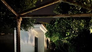 A dimly lit pathway leading to a white building with a door and steps, surrounded by greenery.