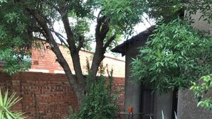 A garden area with a wooden bench, a table, and chairs, surrounded by various plants and a brick wall. - 28 La Rochelle Bed & Breakfast (Kimberley)