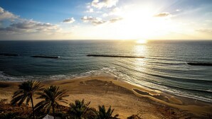 Une plage avec un ciel dégagé, une mer calme et des palmiers.