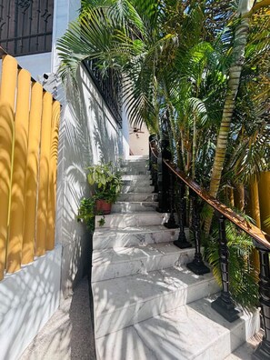 A staircase with marble steps, flanked by yellow walls and palm trees. - Apartment in the center of Mazatlán for couples (Mazatlán)