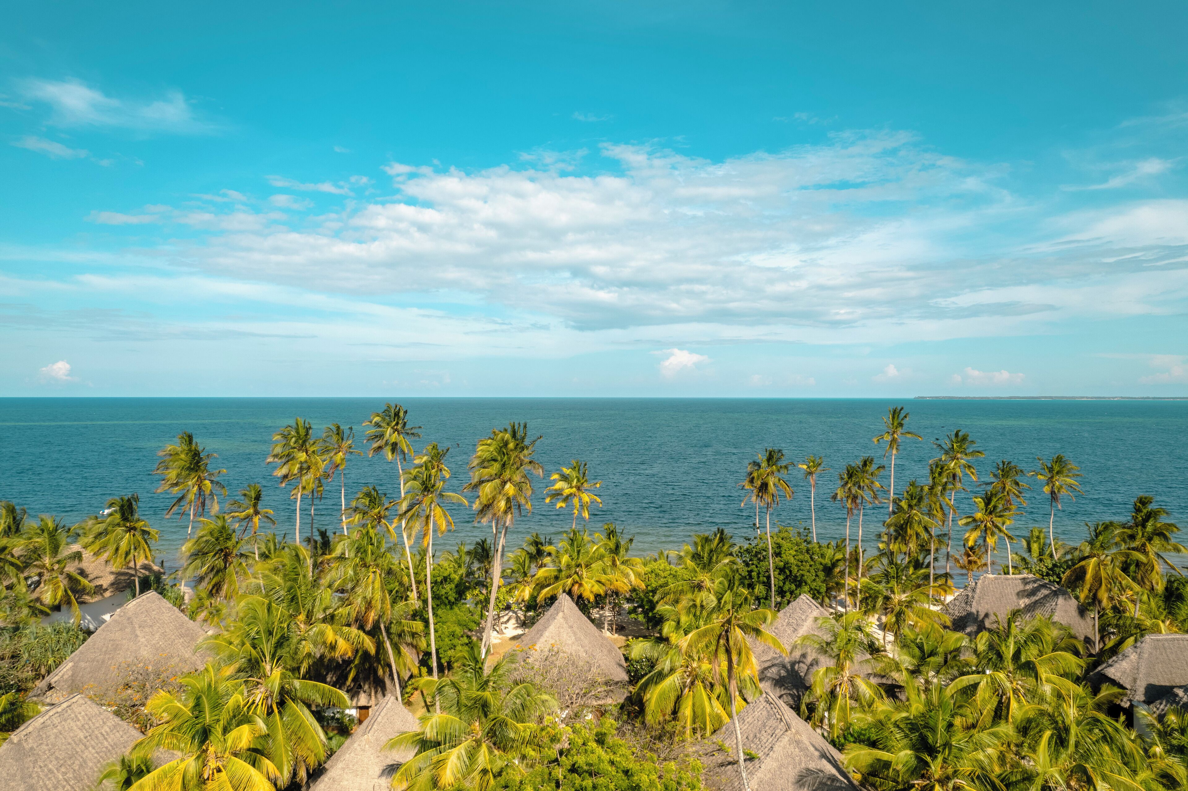 A coastal view with palm trees and thatched-roof huts.
