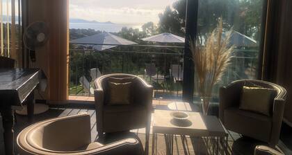CĂŽte d'Azur: Beautiful sea view for this renovated villa, swimming pool, pets welcome!