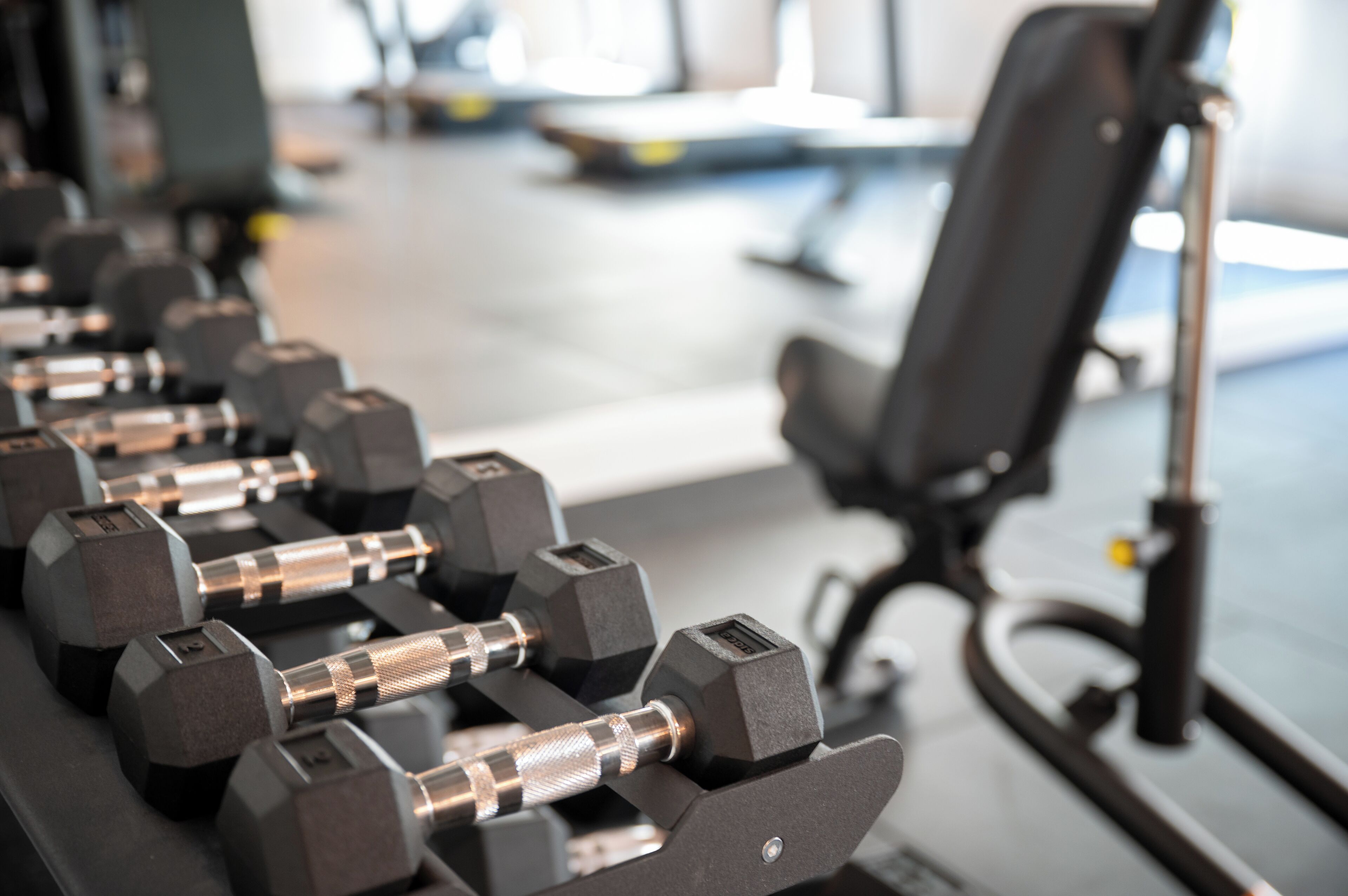 A row of black dumbbells on a rack in a gym.