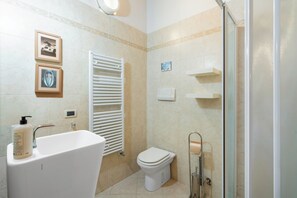 Buồng tắm vòi sen, máy sấy tóc, chậu vệ sinh/vòi rửa, khăn tắm 